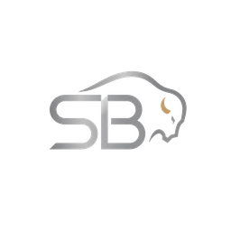 Silver Bison Consulting