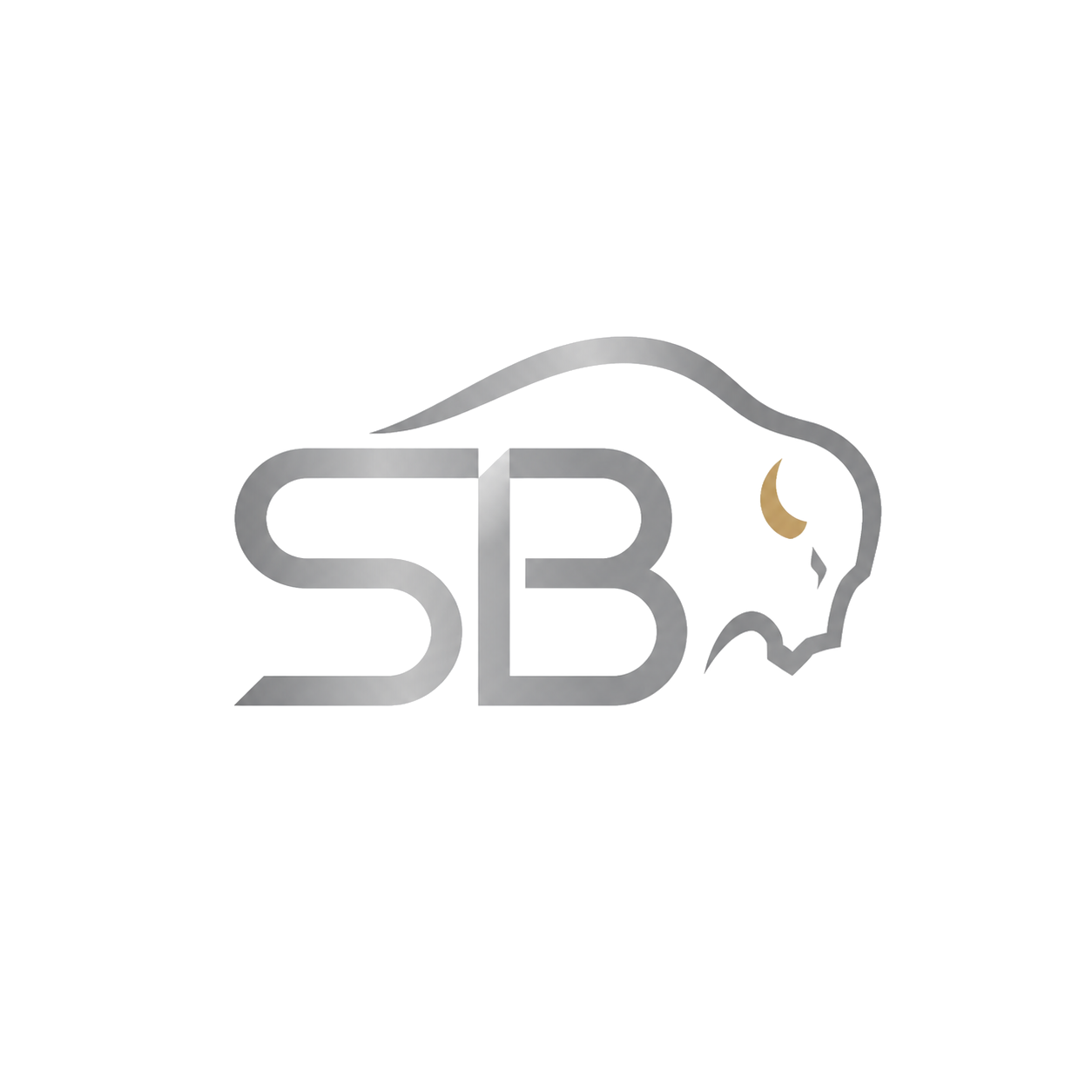 Silver Bison Consulting